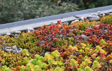 the cost of New Cheltenham green roof installation