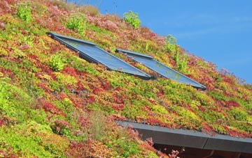 New Cheltenham living roof systems
